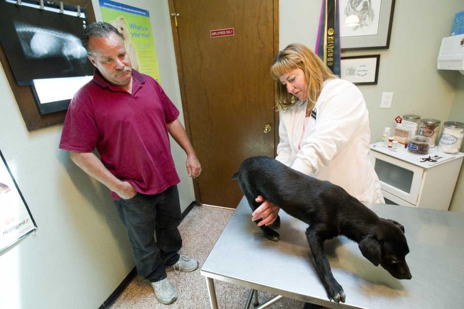 Acampo’s Greg Rosato rescues patched-up pooch