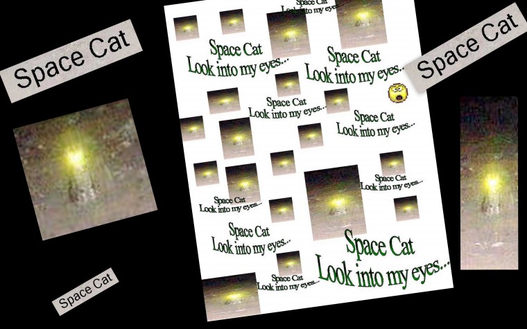 Space Cat