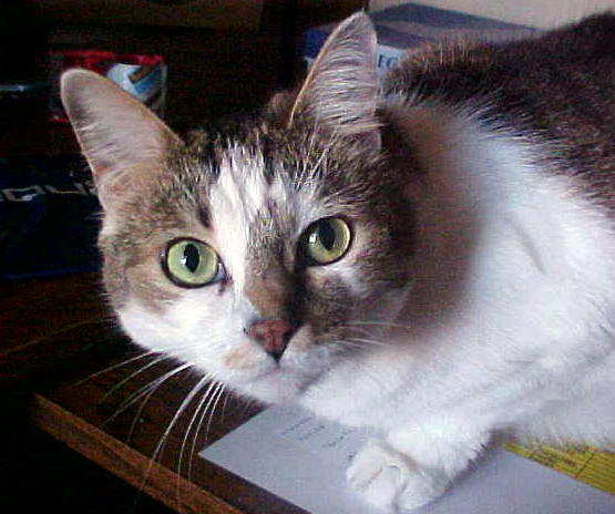 Sabrina 2