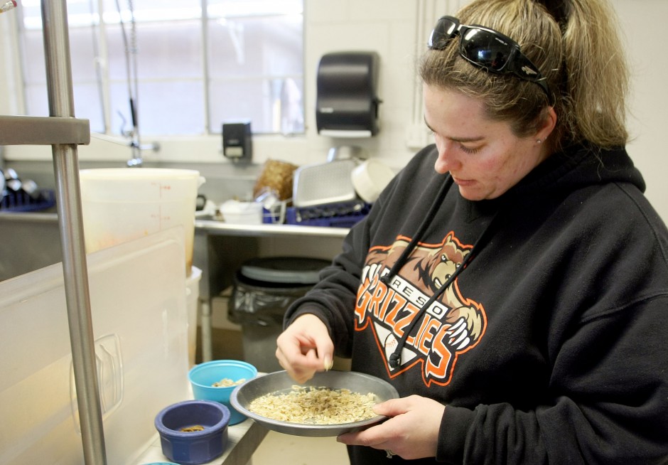 News-Sentinel reporters play zookeepers for a day 