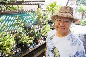 Merry Sasaki helps nurture a garden of trees into skillfully designed bonsai