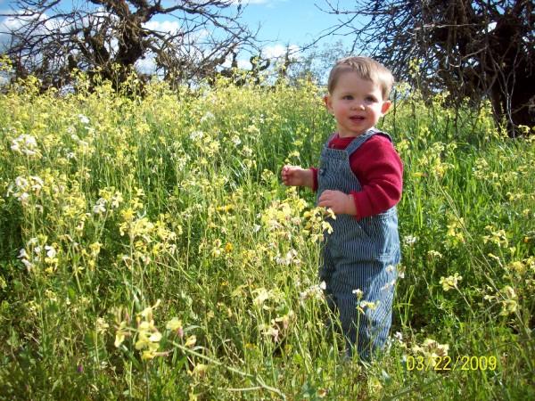 Spring time in the country