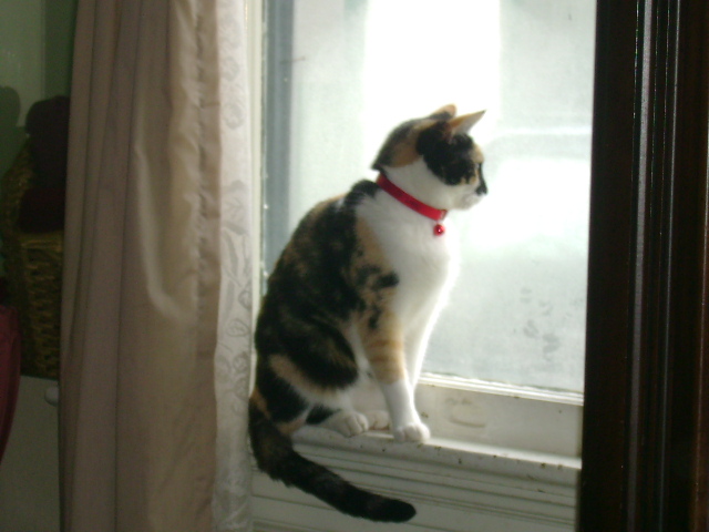 dsc00244.jpg