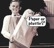 paper or plastic kid