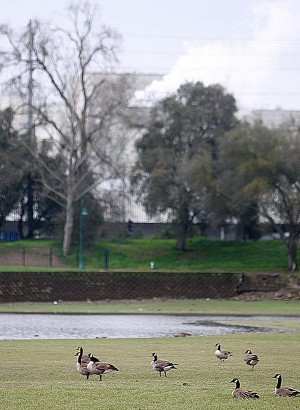 Reservoirs filling as deluge predicted to continue  