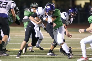Quick exit for Tigers as the Pride prevails