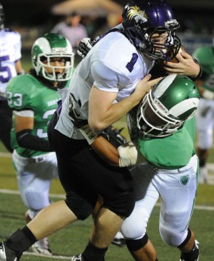 Tigers hit first roadblock in Rams