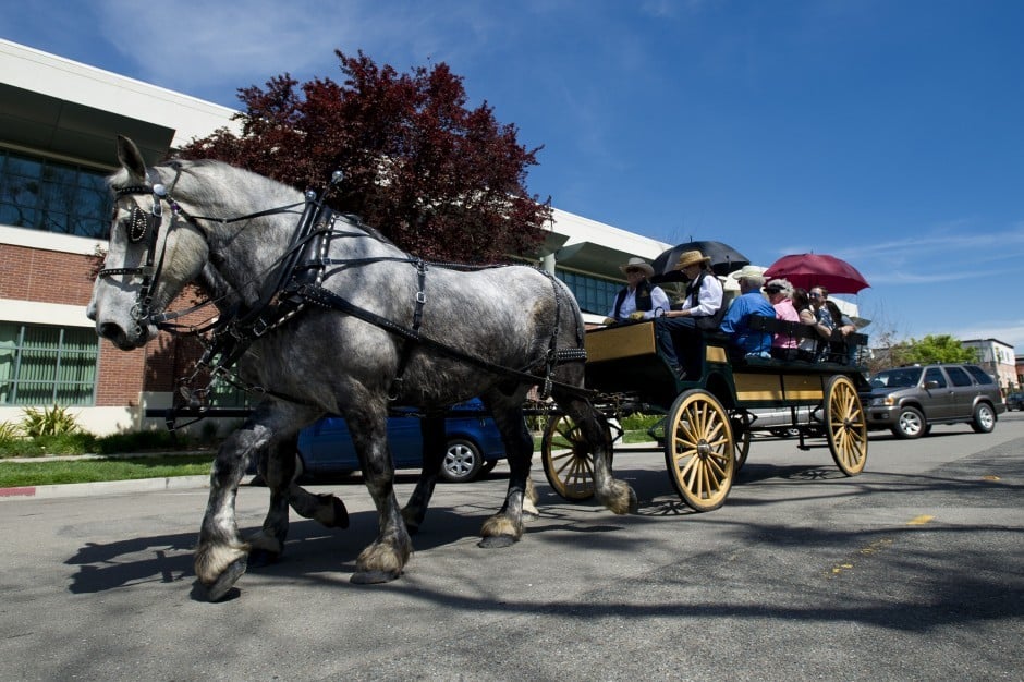 All Seasons Carriage offers historic tours of Lodi