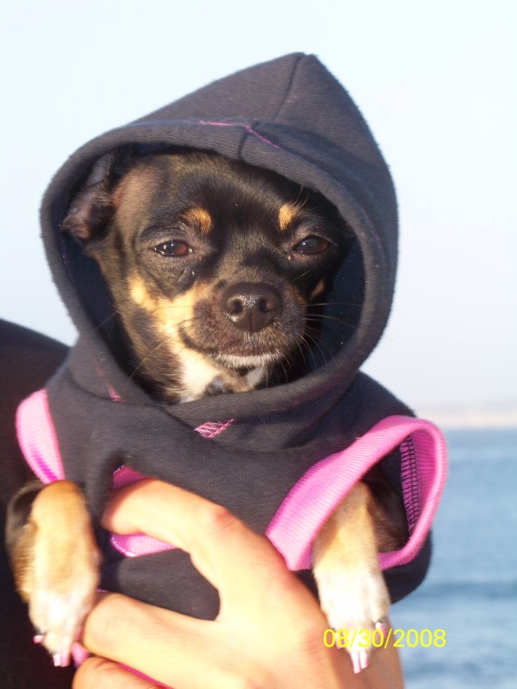 Paris at the beach