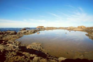 Search for colorful sea glass at Glass Beach in Fort Bragg