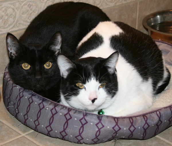 Tail-waggers