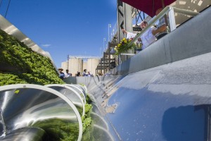 A vintage tradition at Woodbridge Winery 