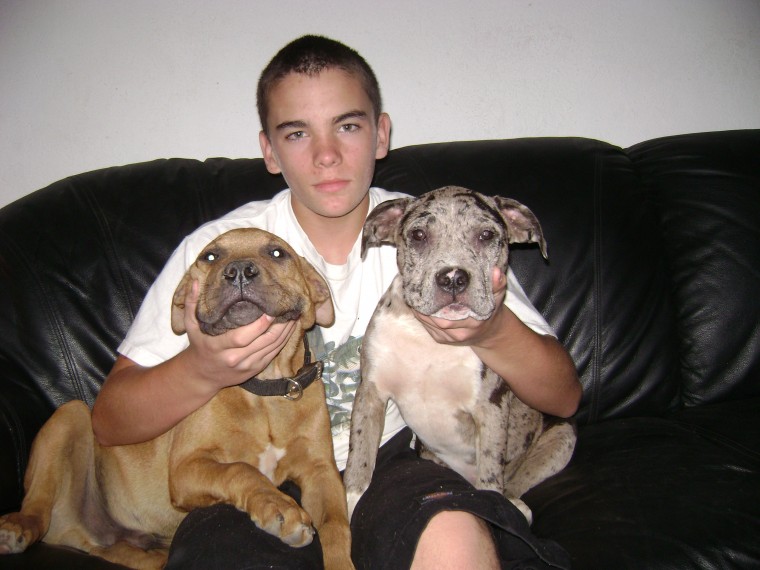 Brandon with Pinto & Brownie