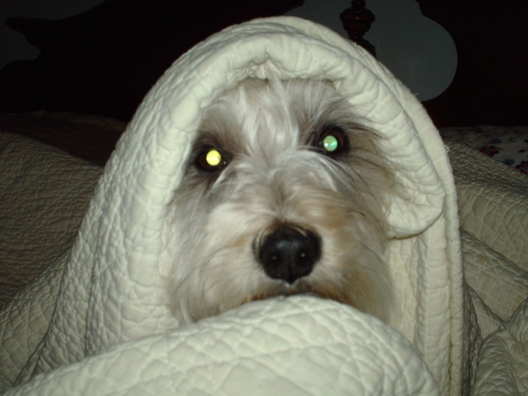Staying warm