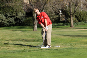 Boys golf: Flames, Tigers try to play it straight