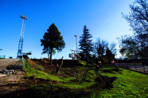 Grape Bowl starts new round of construction