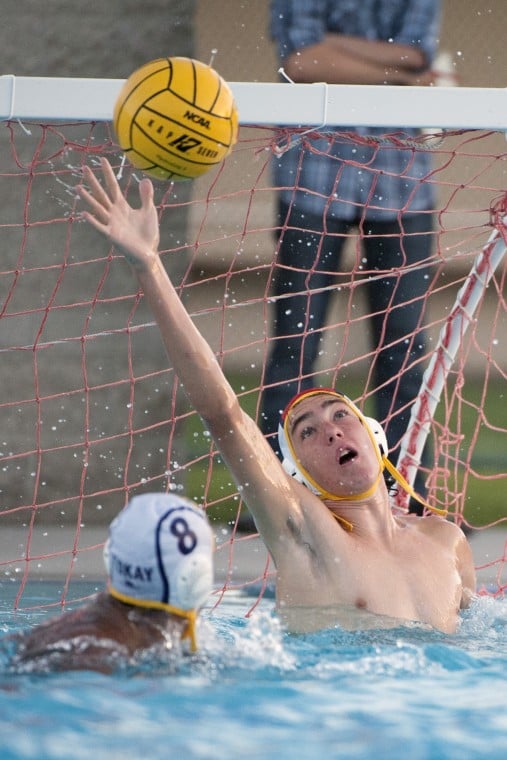 Tigers fall to Rams in Tri-City Athletic League water polo openers 