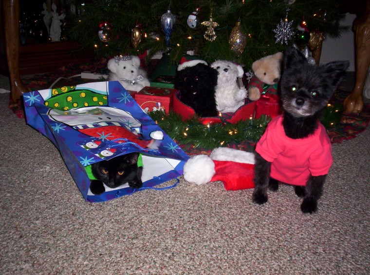 Happy Holidays from Agapi & Chloe