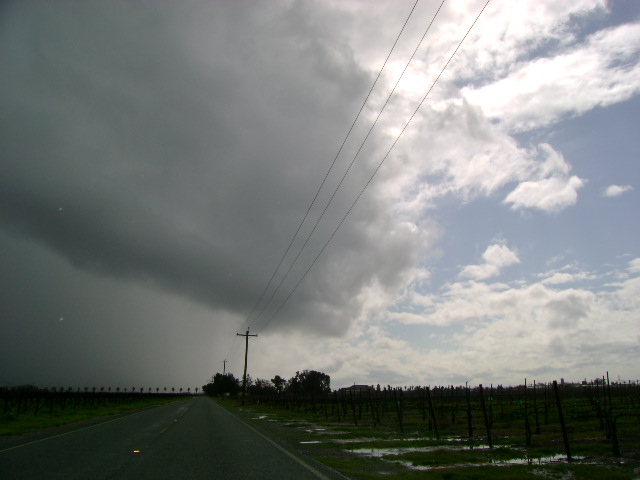Just a little spring storm