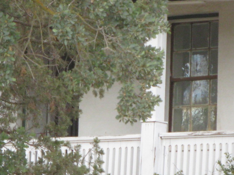 Empty home?
