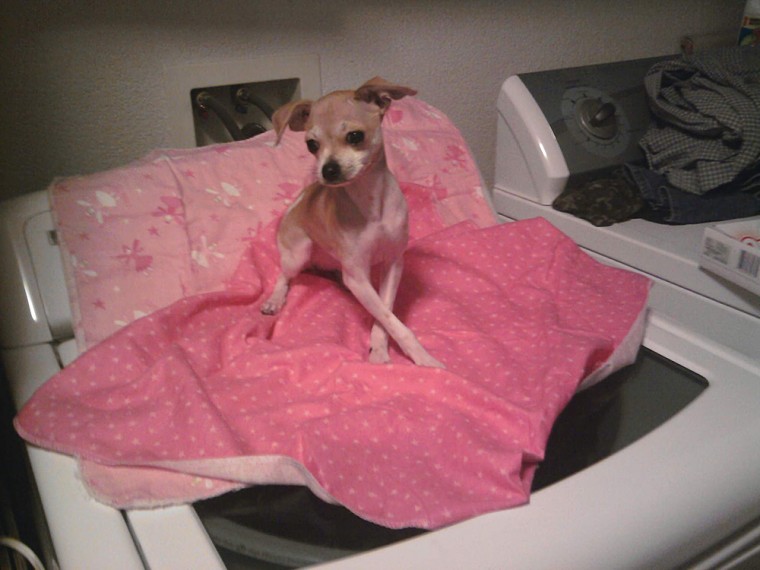 Lacey Lady Like