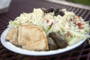 Emergency medical technician, dietitian find tasty, healthy meals at Lodi Grape Festival