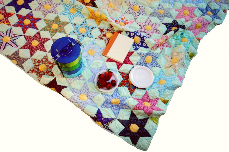 The Great Lodi Picnic