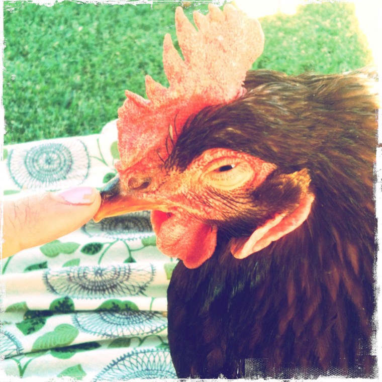 Just call me a farm girl 