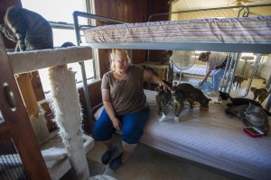 Galt cat shelter seeks donations to keep doors open