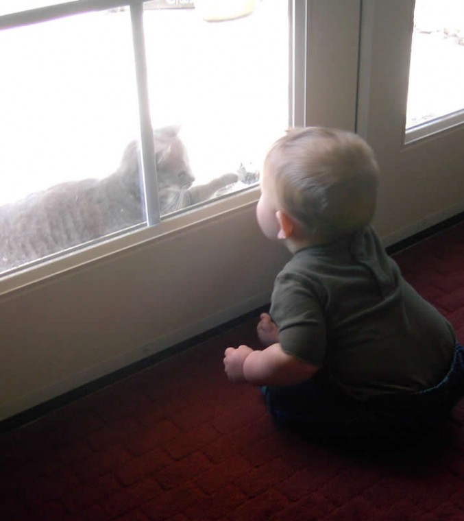 Discovering Kitty