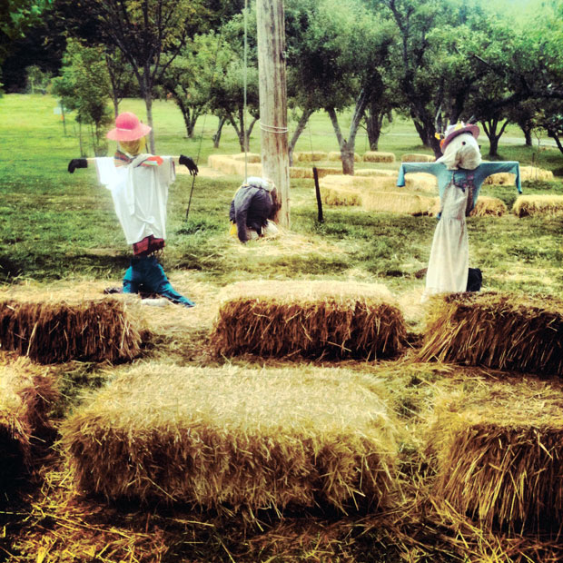 The best of apple country