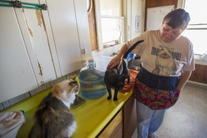 Galt cat shelter seeks donations to keep doors open