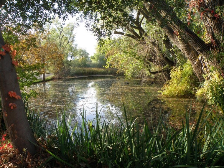 Impressionist Garden - Lodi Lake