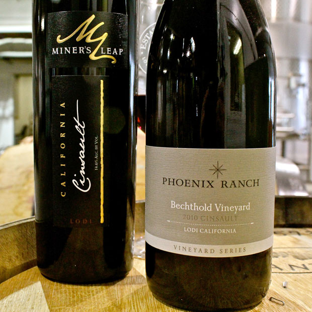 Lodi’s oldest existing vineyard is still producing magical wines after 127 years