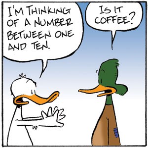 Ducks seeking coffee