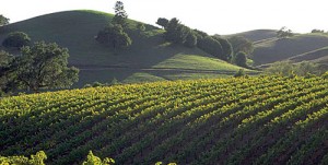 Sara’s place: Sonoma