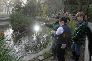 News-Sentinel reporters play zookeepers for a day
