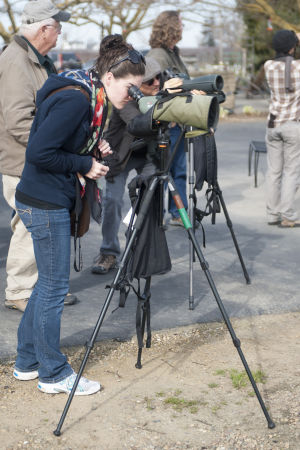 Local birders explore the Mokelumne River floodplain