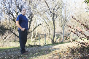 Coyotes spotted roaming Woodbridge neighborhood
