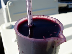 Measuring wine sugar