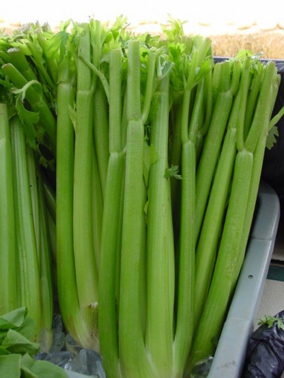 Make celery a part of your main cuisine