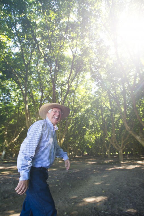 Walnut orchard in Lockeford protected from development