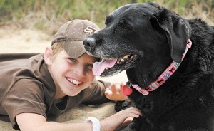 Is your family ready for a pet? 