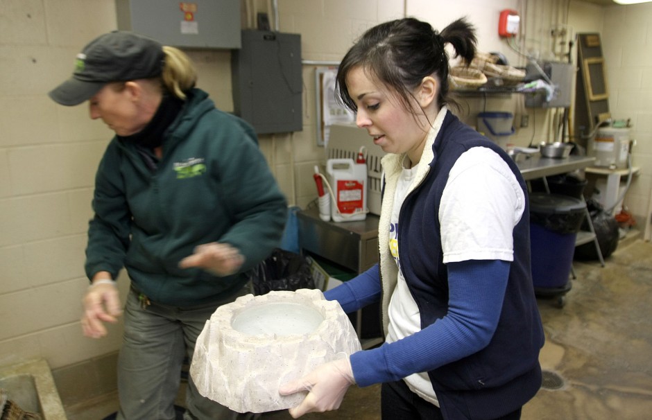 News-Sentinel reporters play zookeepers for a day 