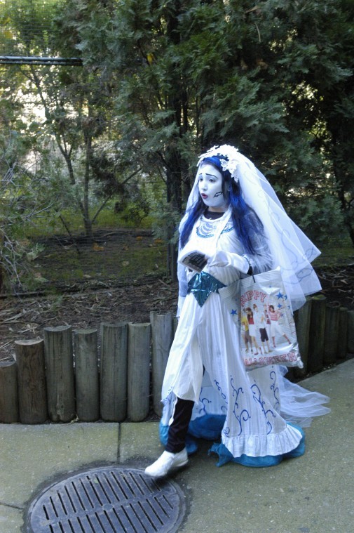 Micke Grove Zoo gets in the Halloween spirit 