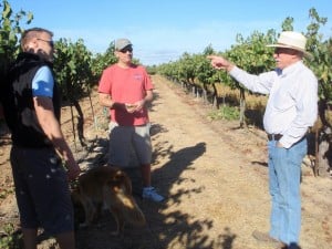 Discussing Harvest at Borra Vineyards