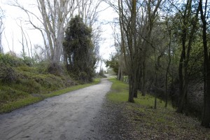 Play: Discover Lodi Lake