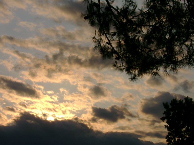 pre night sky