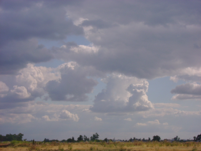 Puppy Cloud