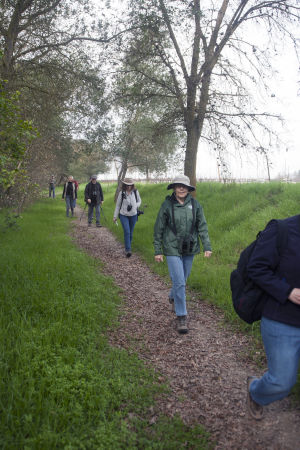 Local birders explore the Mokelumne River floodplain